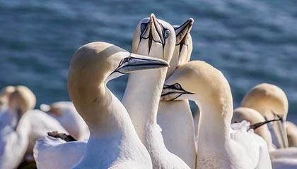 随县伴游，定制QQ：3494206190微信：act1322